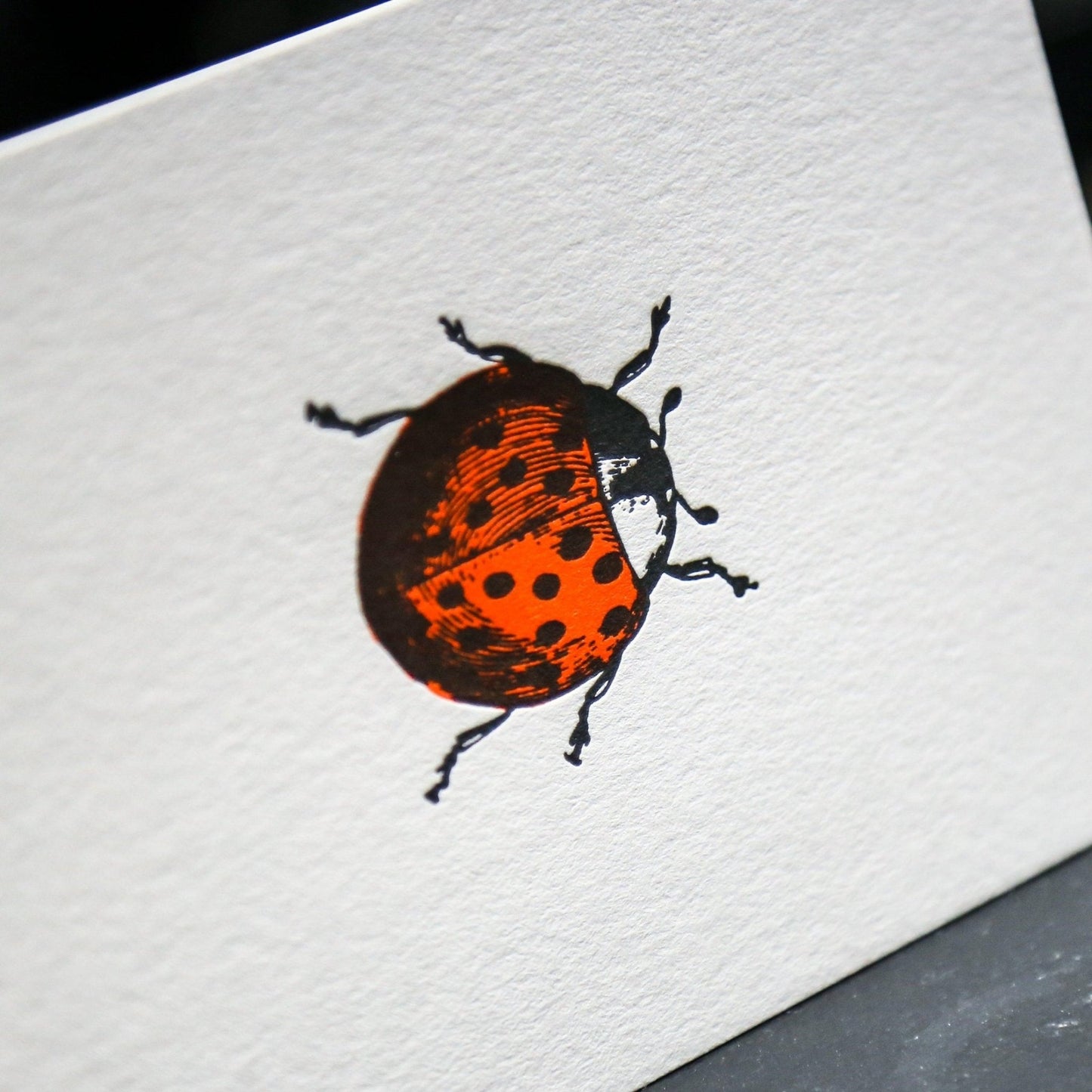 Carte Coccinelle Letterpress - PAPPUS EDITIONS